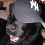 Louie Luke Wagnon - @louie_luke_wagnon - Instagram