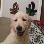 luke waters - @lukewaters6 - Instagram