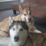Luke Westerman - @luke.westerman.908 - Instagram