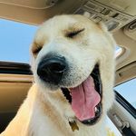 Luke Wiley - @luke_wiley - Instagram