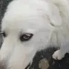 Luke - @luke.winters2 - TikTok