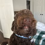 Luke Wisner - @lwisner71 - Instagram