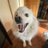 luke - @luke.witte - TikTok