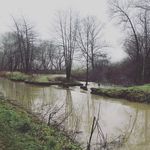 Luke - @womble.luke - Instagram