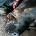 Luke Worrell - @lukeap2010 - Instagram