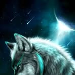 Lucky Wolf - Facebook