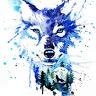 Luke Wulfe - @lukewulfe - TikTok