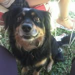 @lula_ball - Instagram