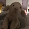 lambylulabarnett3 - @lambylulabarnett3 - TikTok