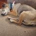 Lula Benton - Facebook