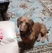 Lula Chambers - Facebook