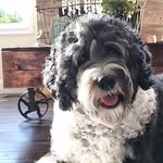 Lula Edwards - @lula.doodle.ed - Instagram