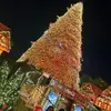 Lula Servin - @lula.servin - TikTok