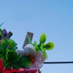 Lolula Flowers - @lolulaflowers - Instagram