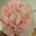 Lula flowers - Facebook