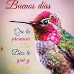 Lulu Flowers - @lulaflowers8 - Instagram