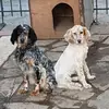 Lula Gillan - @lulagillan853 - TikTok