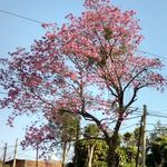 Lula Gómez - @lula.gomez.758 - Instagram