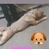 tululagrant - @tululagrant - TikTok
