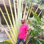 Hamilton Phalula - @hamiltonphalula - Instagram