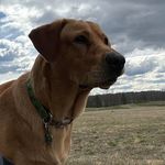 Amy Friski Hammond - @lularoeamyhammond - Instagram