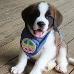 Darin H - @lulabelle_and_mae_hensley - Instagram