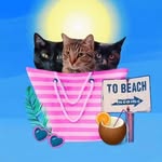 LuLu, Rosie & Hensley - @3littlekittyladies - Instagram