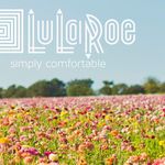 Logan Curley - @lularoewithlogancurley - Instagram