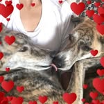 Lula Mae, Logan & Co. - @lulamaeandlogan - Instagram