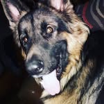 lulalogan - @lauraflores5346 - Instagram