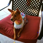 Lula Marquez - @jamarquez31 - Instagram