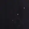 . - @lulamarquez89 - TikTok