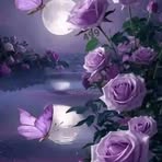 Lila Mccarthy - Facebook