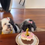 Lulu and Millie Freer - McGuire - @lulu_and_dittle_milllie_girl_ - Instagram