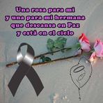 Lula Moreno - Facebook