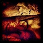 LM - Morgane Talula - @talulamorgane - Instagram