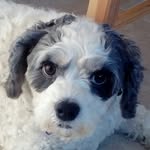 Pippa Lula Murphy - @pippalul - Instagram