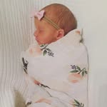 Lula Page - @lula.page - Instagram