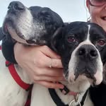 @pointer.lula.sandy - Instagram
