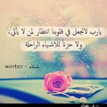 Aalaa Mohammed - @lula.queen.961 - Instagram