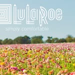 Lularoe Melanie Skinner - @lularoemelanieskinner - Instagram