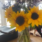 Laylla Tyrrell - Facebook