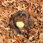 Lulu Terrell - @thelifeof.lulu - Instagram