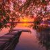 Lulu Thurman - Facebook