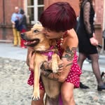 Lula - Dog Sitting & Walking - @luladogsitterdogwalker - Instagram