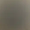 Lula Wiggin - @lula.wiggin - TikTok