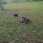 Lulu Fleming - Facebook