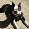 Lulusmith007 - @lulusmith007 - TikTok