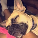 Lulu - @luluwalkerr - Instagram