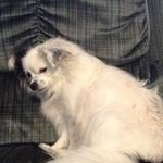 Lulu Walker - @lulu.walker3815 - Instagram